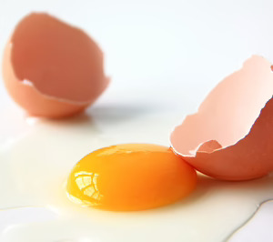 Agotzaina desafía a los operadores del mercado de huevos y aspira a alcanzar el liderazgo