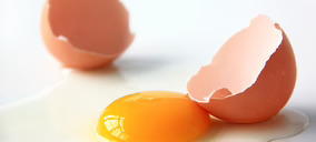 Agotzaina desafía a los operadores del mercado de huevos y aspira a alcanzar el liderazgo