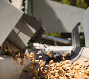 Importaco y Dcoop firman una alianza para comercializar almendra mediterránea