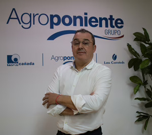 Antonio Román, subdirector general de Grupo Agroponiente