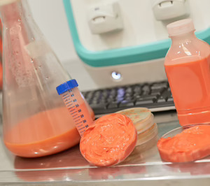 Mmmico, el as en la manga de Eatable para una nueva generación de números E naturales