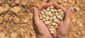 El proyecto de Domo Pistachio se impulsa y suma productores de pistacho manchego