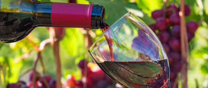 Informe 2023 del sector del Vino