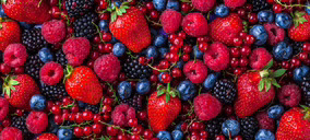 El proyecto de Alantra en frutos rojos gana tamaño con tres nuevas compras