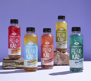 El grupo Teresa Carles-Flax & Kale insiste en la kombucha