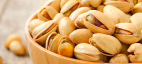 Extremeña de Pistachos prevé la ampliación de sus instalaciones tras cerrar la campaña de pistacho