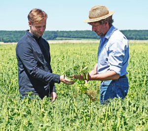 Nordzucker apuesta por el plant-based invirtiendo más de 100 M€ para entrar en proteínas alternativas