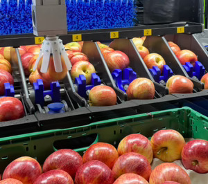 Giropoma Costa Brava, grandes expectativas de crecimiento con ‘Pink Lady’, ‘Joya’ y ‘Candine’