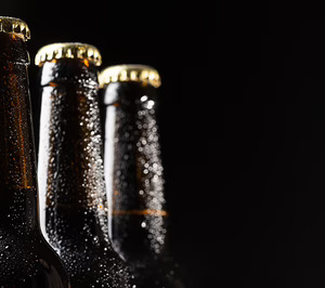 Ecovidrio y Cerveceros de España presentan una guía con 70 medidas de ecodiseño para envases de cerveza