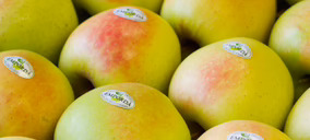 Fructícola Empordà invertirá 12 M para alcanzar las 40.000 t de manzanas