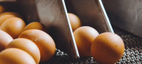 IA y biotecnología también en la producción de huevos de consumo