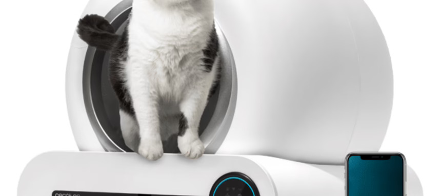 Cecotec Pumba, nueva línea de productos para mascotas