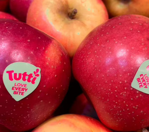 Girona Fruits combate los efectos del cambio climático y prepara el lanzamiento de Tutti
