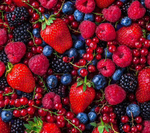 Surexport se hace con el control de Jong Fruit y sella su cuarta compra del año