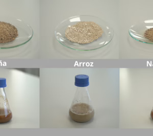 Itene obtiene precursores de biopolímeros a partir de residuos de piña, arroz y naranja