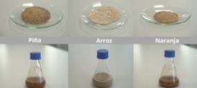 Itene obtiene precursores de biopolímeros a partir de residuos de piña, arroz y naranja