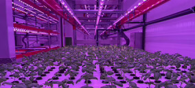 Néboda, luz verde a la producción preindustrial para validar su propuesta en agricultura vertical