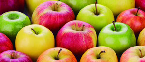 Informe 2024 del sector de manzana en España