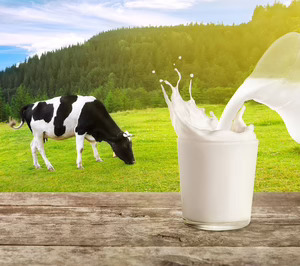 La industria de la leche muestra su capacidad de adaptación