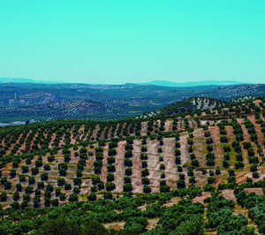 Cooperativas obligadas a cooperar