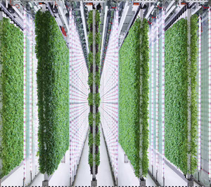 La inversión global en nuevos modelos agrícolas foodtech cayó por un precipicio en 2023