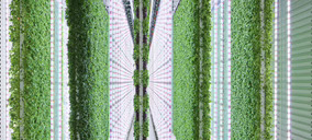 La inversión global en nuevos modelos agrícolas foodtech cayó por un precipicio en 2023