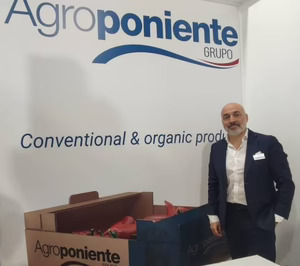 Agroponiente espera un crecimiento a doble dígito esta campaña