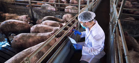 ‘Global-Trax’ aplica la digitalización para cuantificar los factores más influyentes en la producción en granjas porcinas