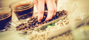 La alianza de Olam International y Guzman Global se disuelve