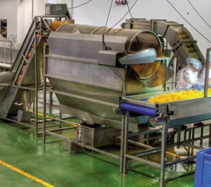 El sector de vegetales congelados pierde uno de sus operadores