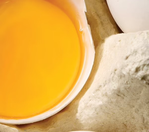 Interovo crece en instalaciones, volumen y parque de ponedoras