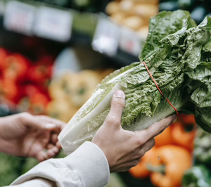 ¿Por qué Europa elige a España como proveedor preferente de frutas y hortalizas?