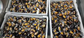 Azti desarrolla ingredientes alimentarios a partir del agua de cocción de mejillones