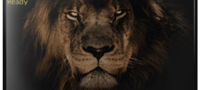 Nevir estabiliza sus ventas y suma nueva categoría