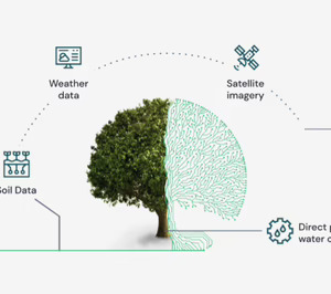 The Foodtech Lab apuesta por el riego de precisión con su inversión en la israelí Treetoscope