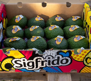 Sigfrido ampliará instalaciones y albergará nuevos equipos para crecer a doble dígito