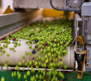 Gelagri invertirá 5 M en mejoras mientras mantiene el crecimiento a doble dígito