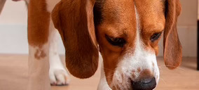 Dogfy Diet levantará una segunda fábrica de petfood con la inyección de Agrolimen