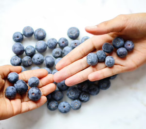 Nufri explora el cultivo de arándano, mientras presupuesta 20 M para seguir creciendo