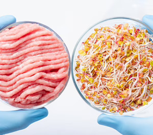 Cataluña impulsa un ambicioso proyecto de maquilas preindustriales multitecnología para proteínas alternativas