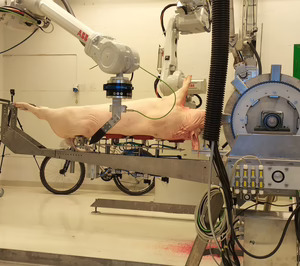 Robutcher extiende el camino de la robotización de la industria cárnica con ayuda española