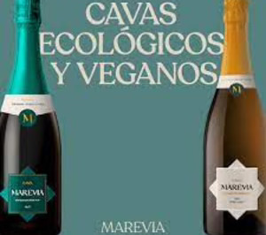 Cavas Marevia invierte más de 1 M€ para producir en un vidrio más ligero