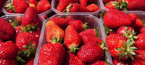 Moguer Cuna de Platero ejecuta nuevas inversiones para ganar eficiencia y se vuelca en la investigación