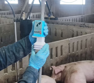 Dos empresas proponen el uso del IoT para detectar enfermedades en ganado porcino a través del agua