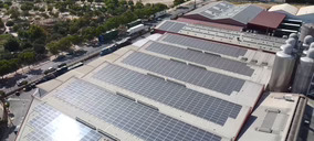 Estrella de Levante supera el millón de kWh anuales en su planta fotovoltaica de Murcia