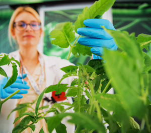 ¿Cómo disminuir el uso de pesticidas en el campo cuando no existen alternativas naturales suficientes?