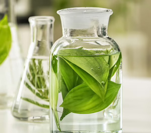 Firmenich cierra el ejercicio con un crecimiento cercano al 20%