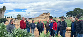 Basf Nunhems y Ametller Origen impulsan el primer club de productores de alcachofa