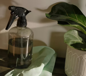 Eficacia, sostenibilidad y bienestar, la ecuación perfecta en home care