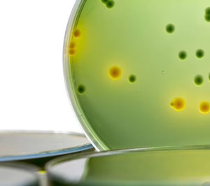 Los proyectos foodtech van tomando forma